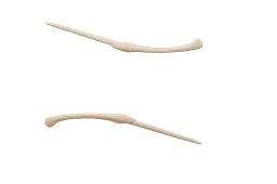 Bellatrix L’Strange Wand 3d model
