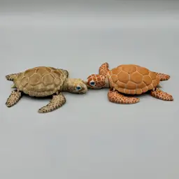 Articulated Sea Turtle | Pre-Painted + Optional 6mm Glass Eye Version 3d model