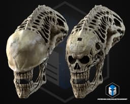 Xenomorph Skull - 3D Print Files 3d model