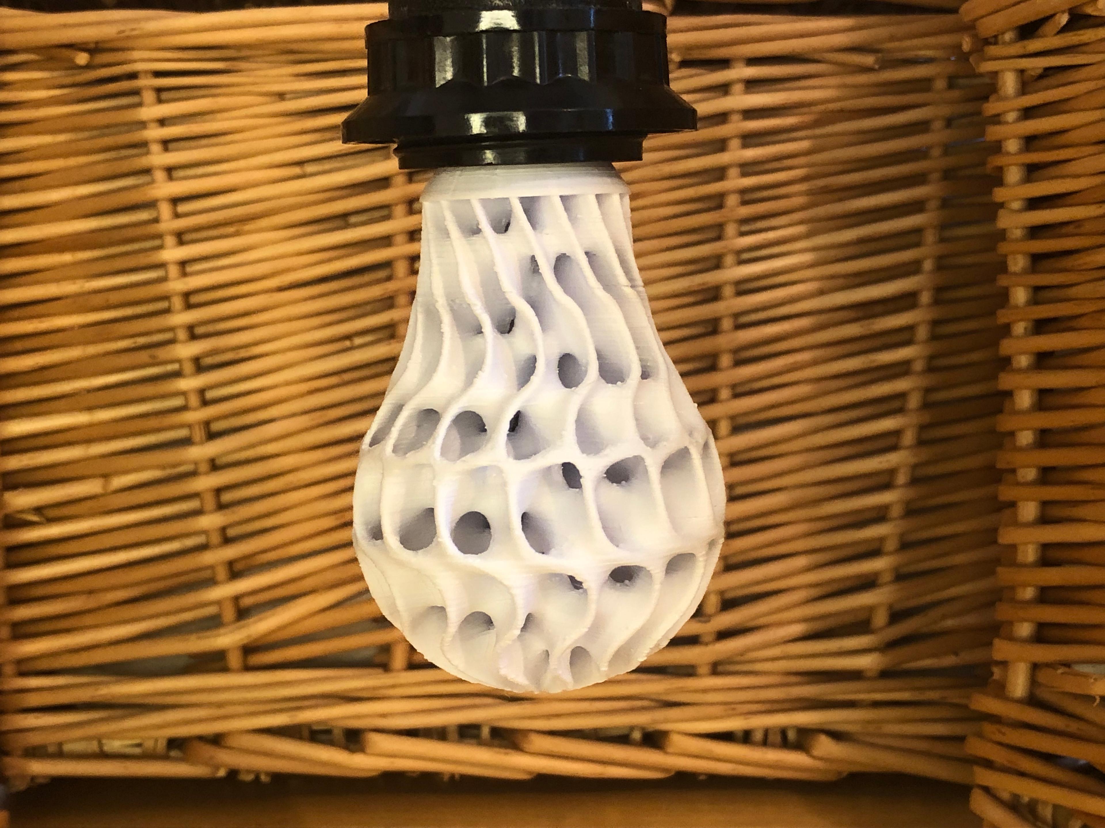 Decorative Minimal Surface Lightbulbs 3d model