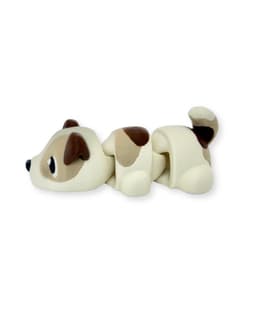 Jack Russell Terrier 3d model