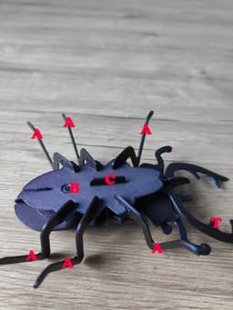 Stag Beetle Buildable Animal Figure 3d model