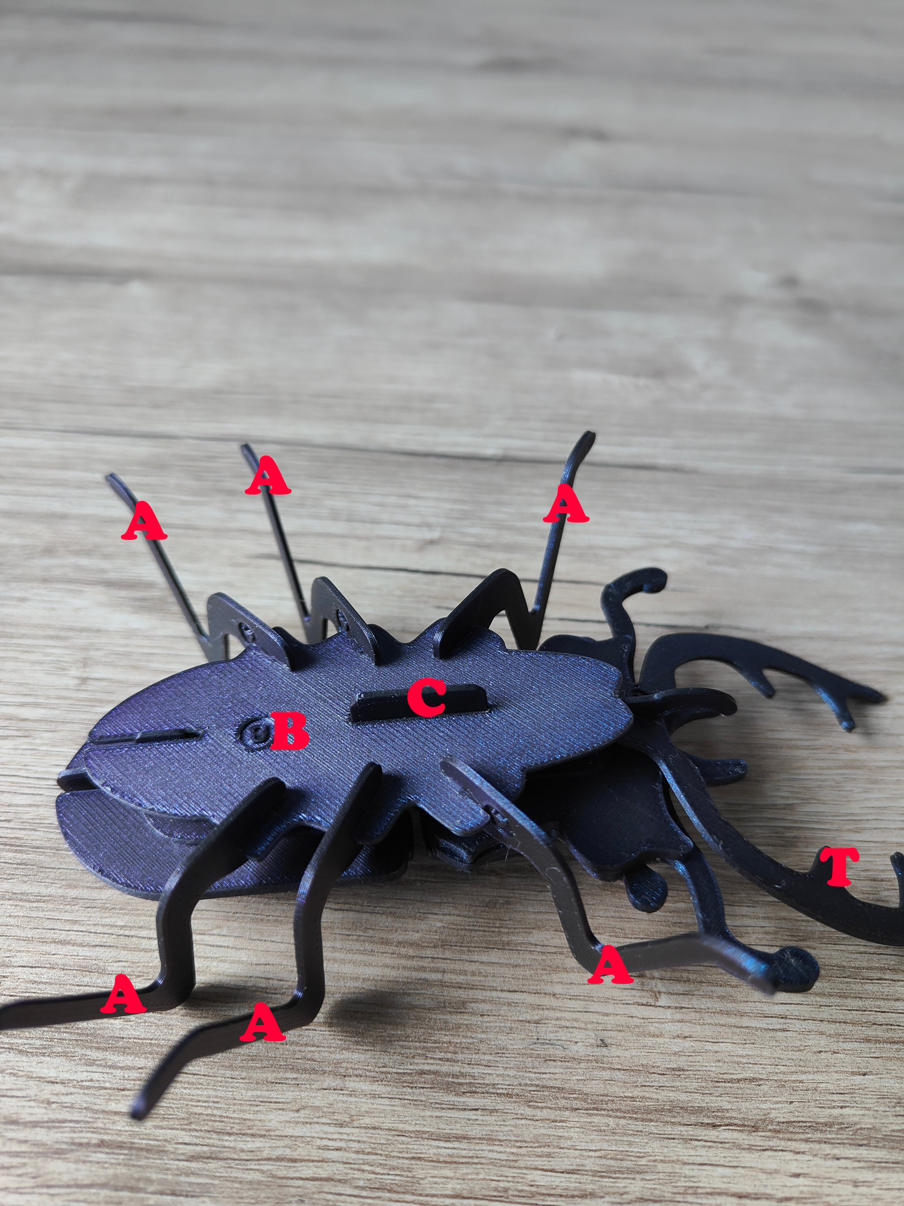 Stag Beetle Buildable Animal Figure 3d model