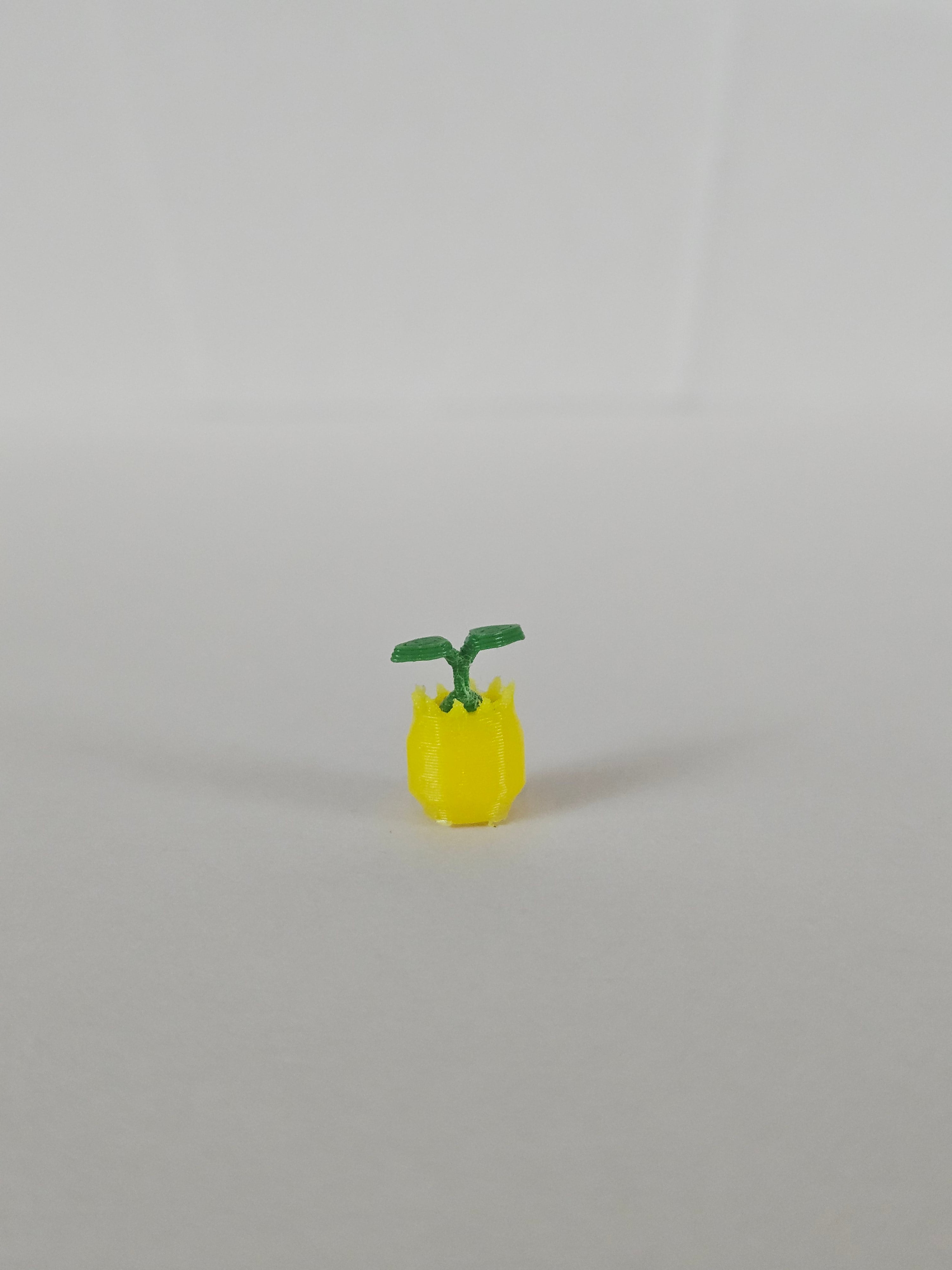 Sunkern Low Poly Pokemon 3d model