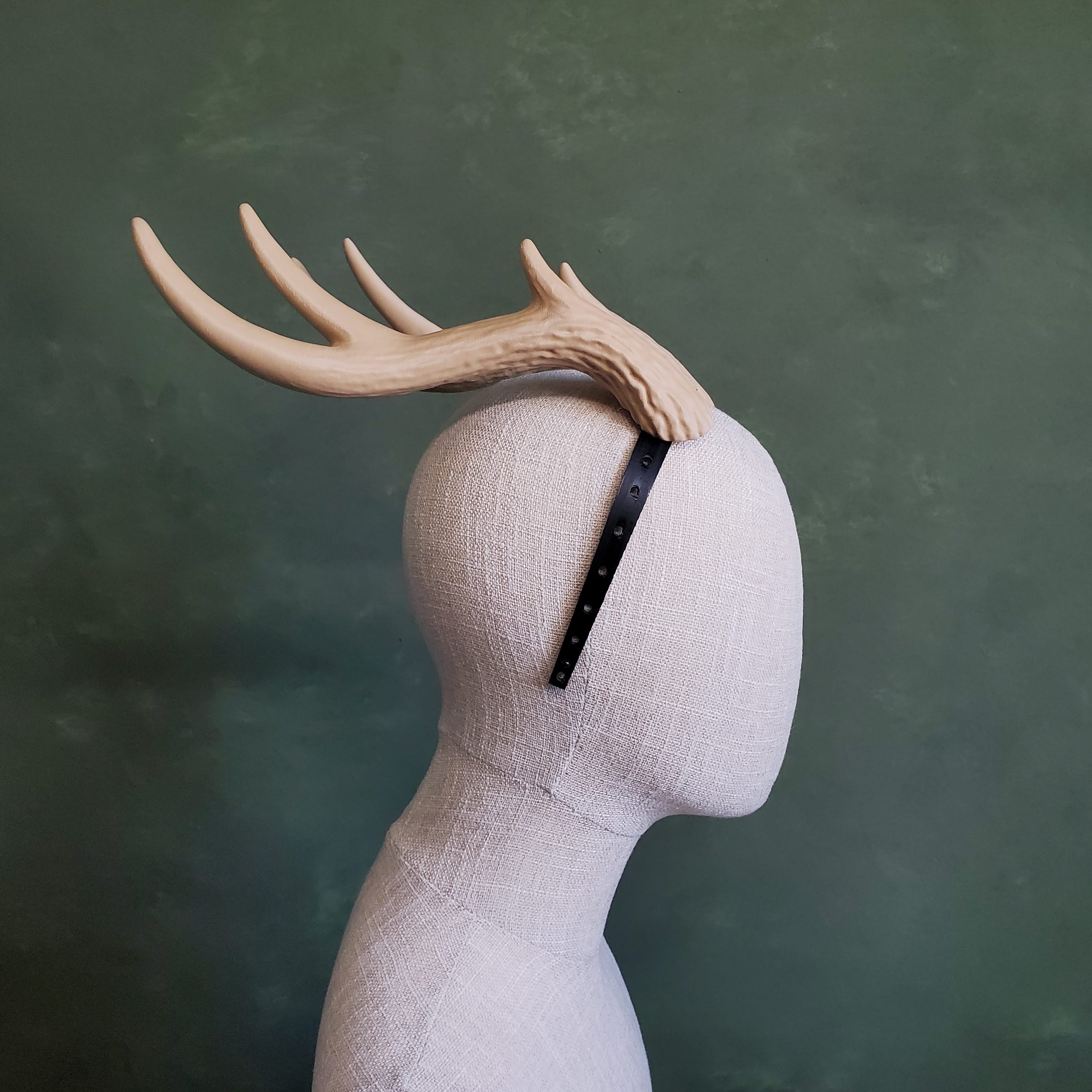 Kiki | Large Wavy Antlers 3d model