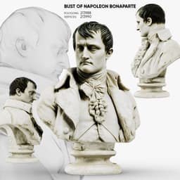 Bust of Napoleon Bonaparte 3d model