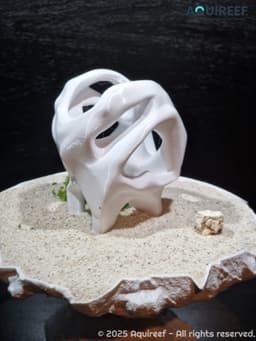 Unique Design Fish Cave for Cichlids & Pleco | 3D Printable Aquarium Fish Hide | Natural Rock Design 3d model