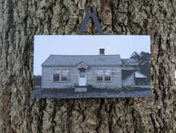 Rural Decay - Solitude Filament Painting 3d model