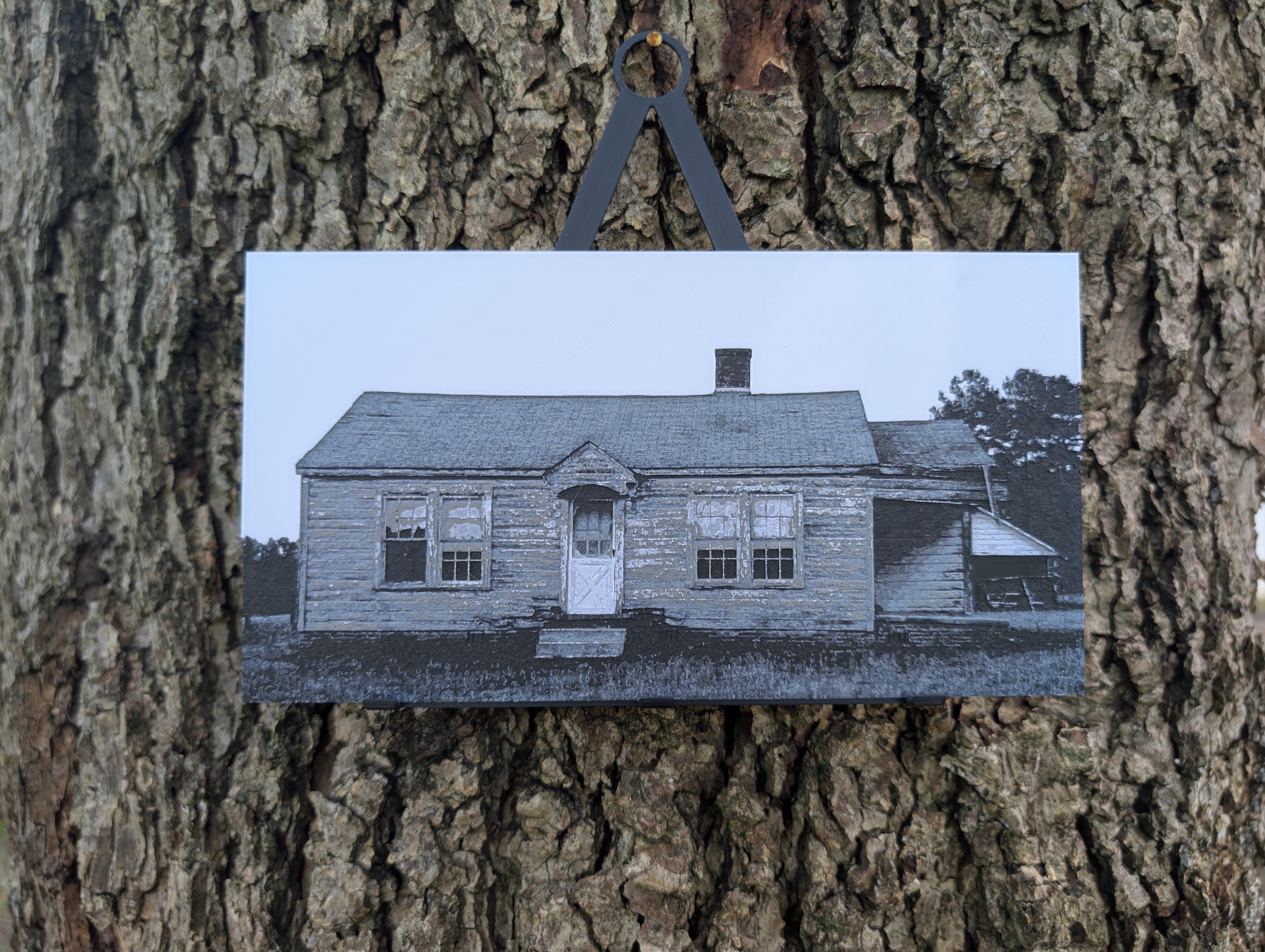Rural Decay - Solitude Filament Painting 3d model