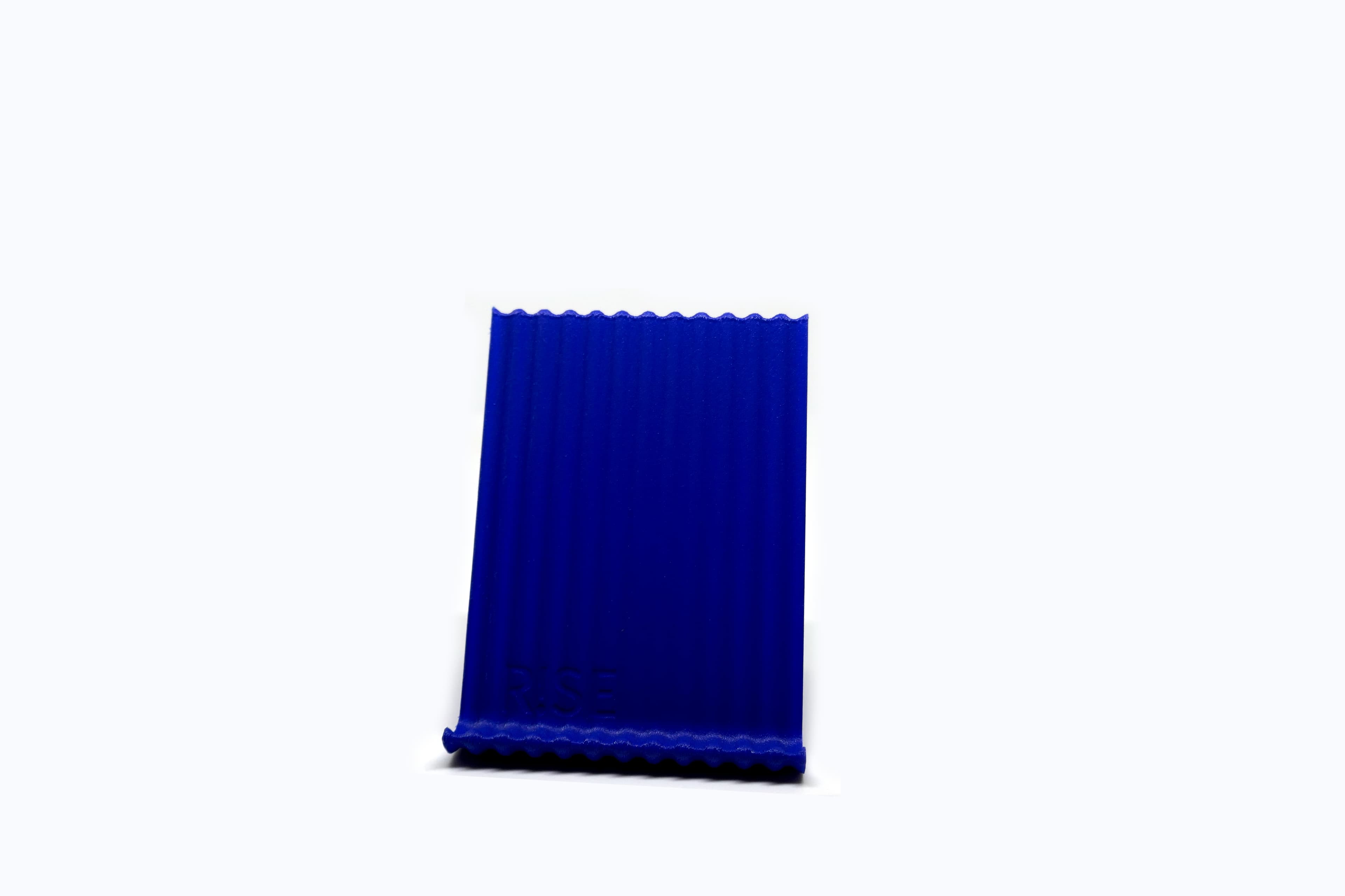 R!SE phone 3d model