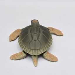 Realistic Archelon Sea Turtle Flexi 3d model