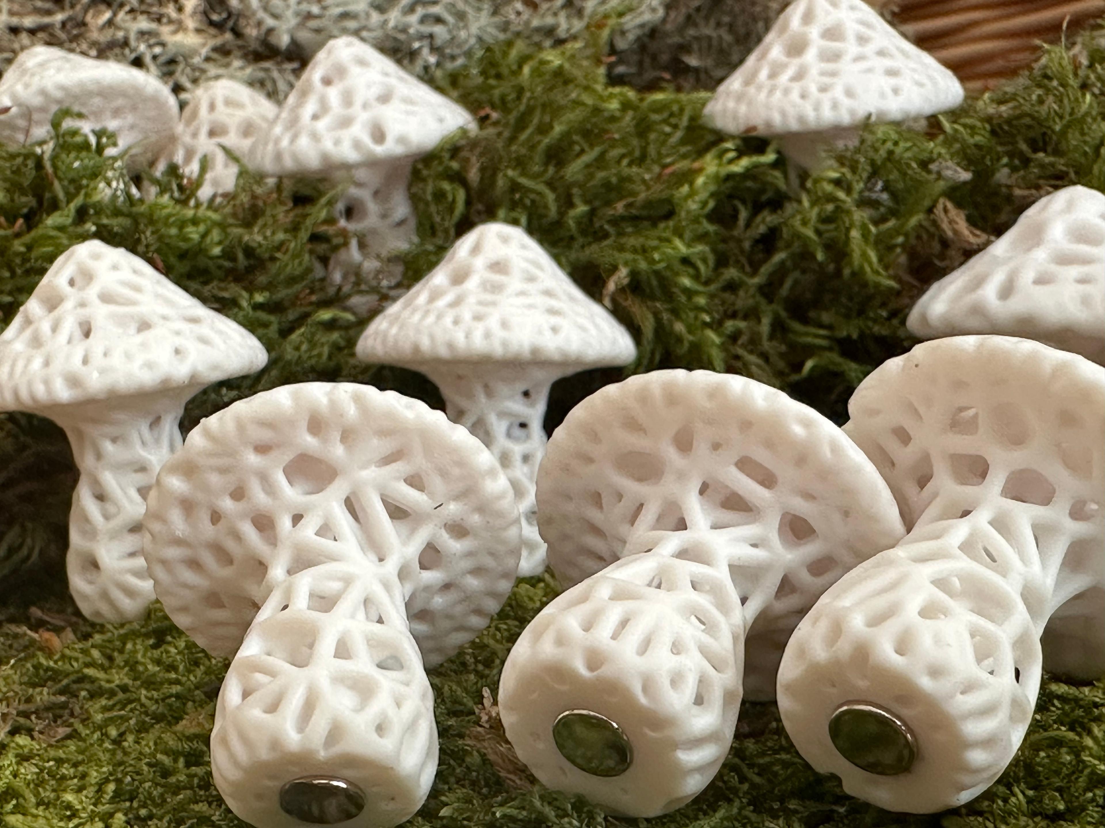 Stochastic Mushroom Magnets (Large) 3d model