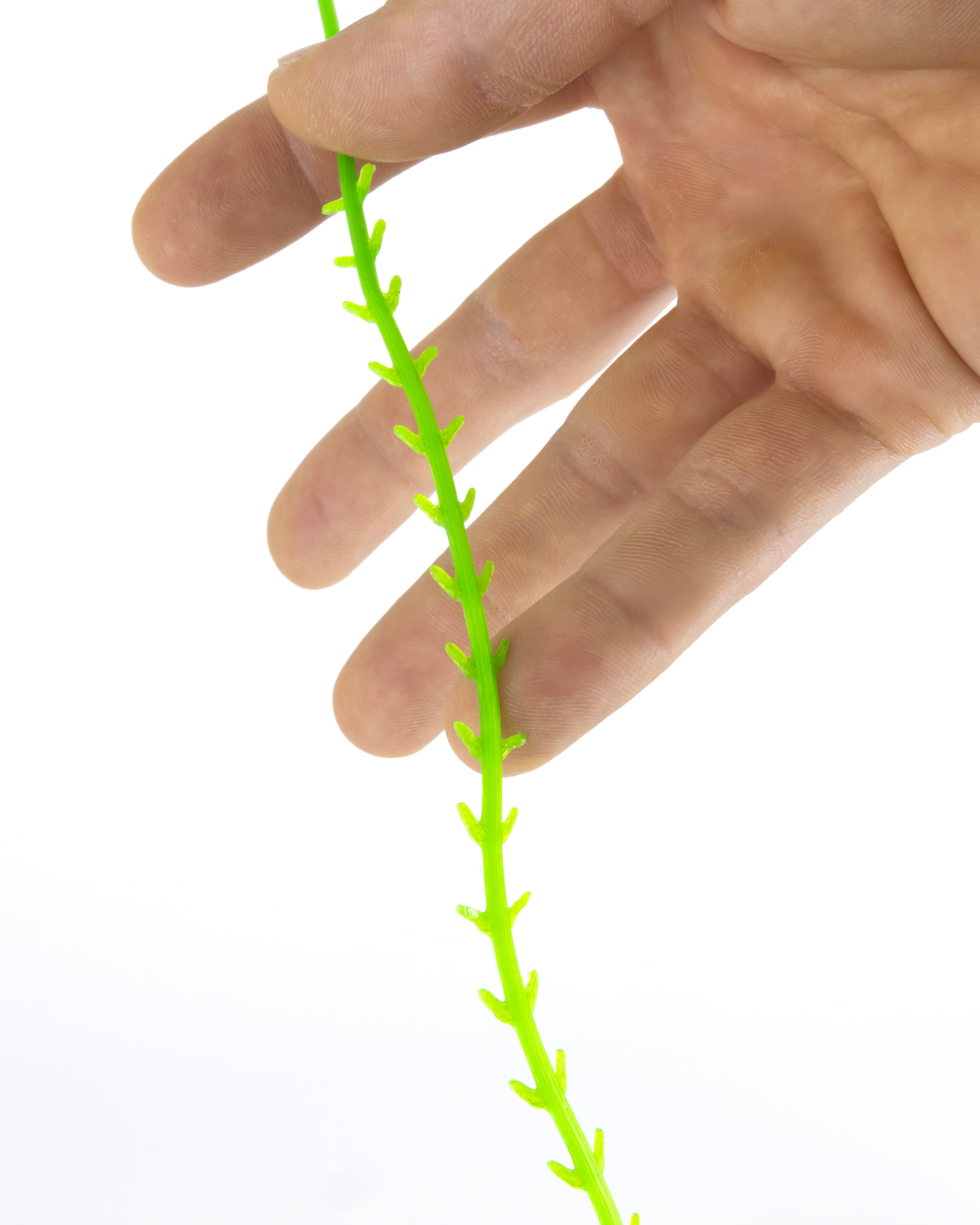 EZPZ Drain Snake 3d model