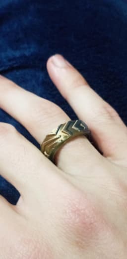 Fidget Ring the hat gotelé & Zig Zag 3d model