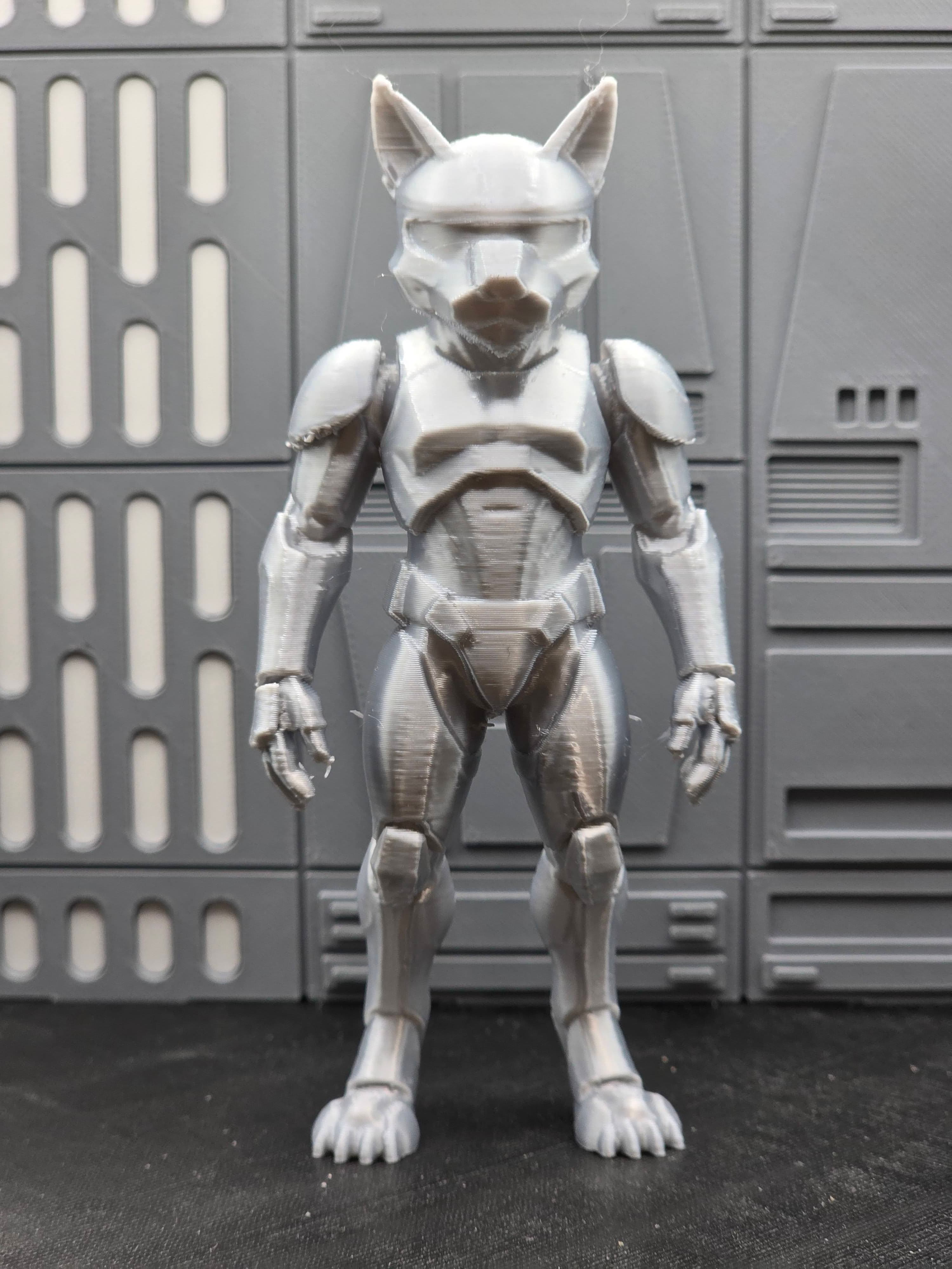 Cat Stormtrooper 3d model