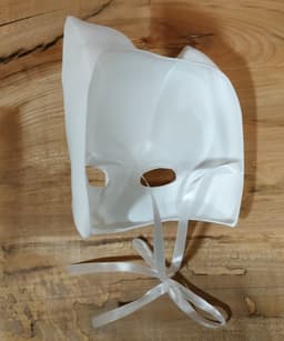 Wolf Masquerade Mask 3d model