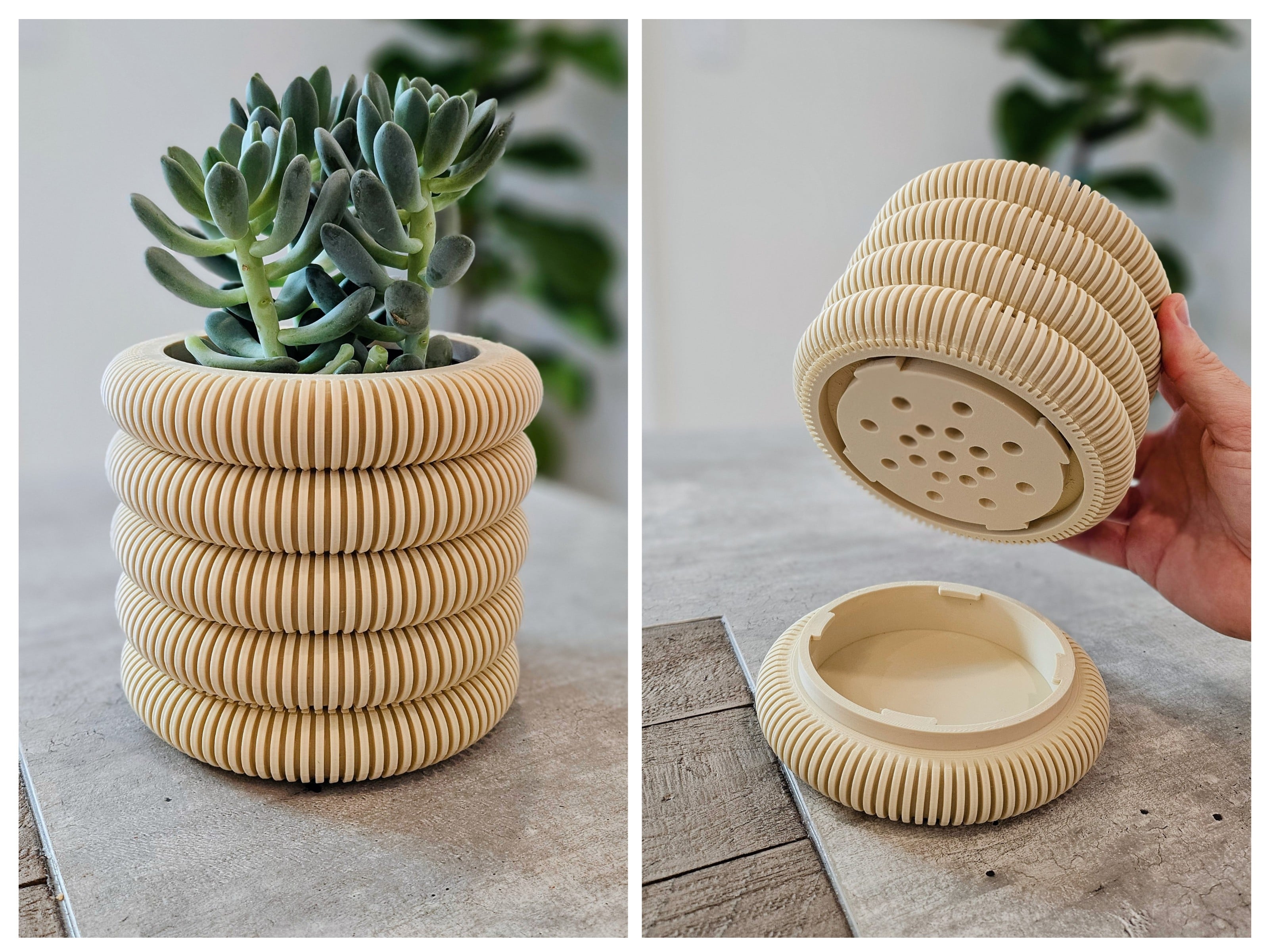 Coins Planter with Hidden Drip Tray 3d model