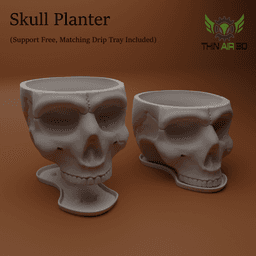 Halloween Skulls/Skull Decor - Halloween Decor 3d model