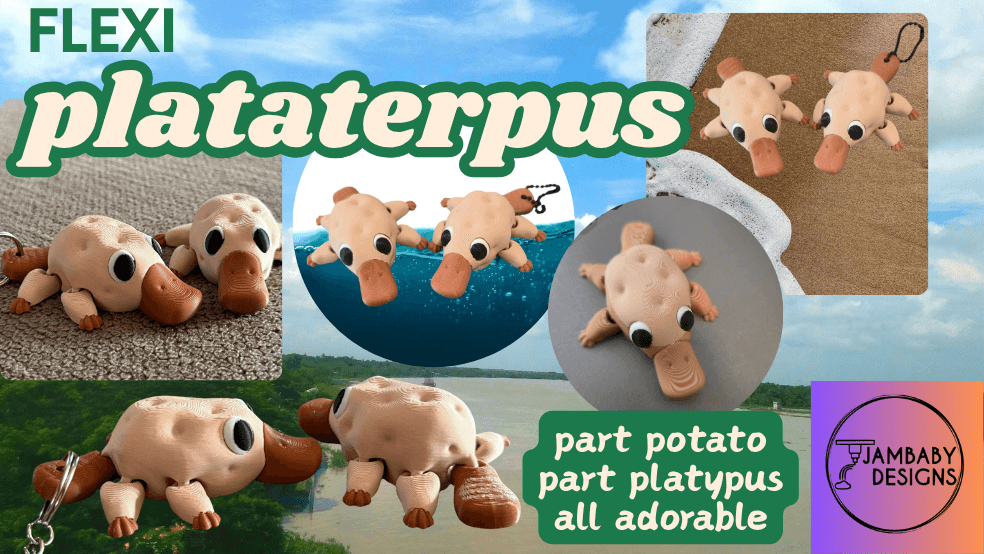Flexi Plataterpus- part potato, part platypus, all adorable!! 3d model