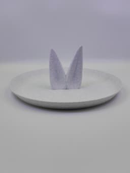 Easter Bunny Egg Tray 3d model