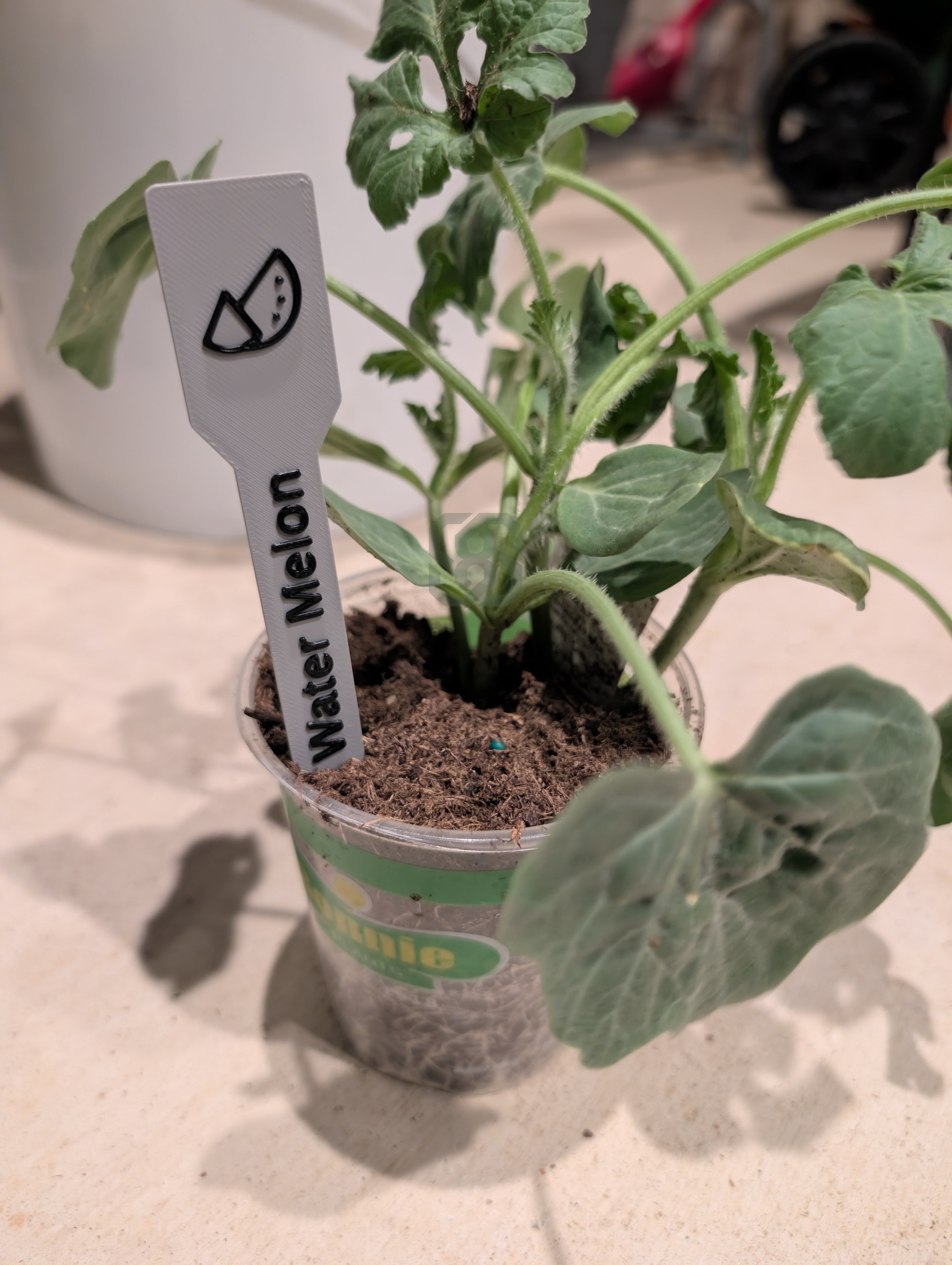 Garden Stakes | Customizable 3d model