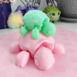 Turtle Flexi 3d model