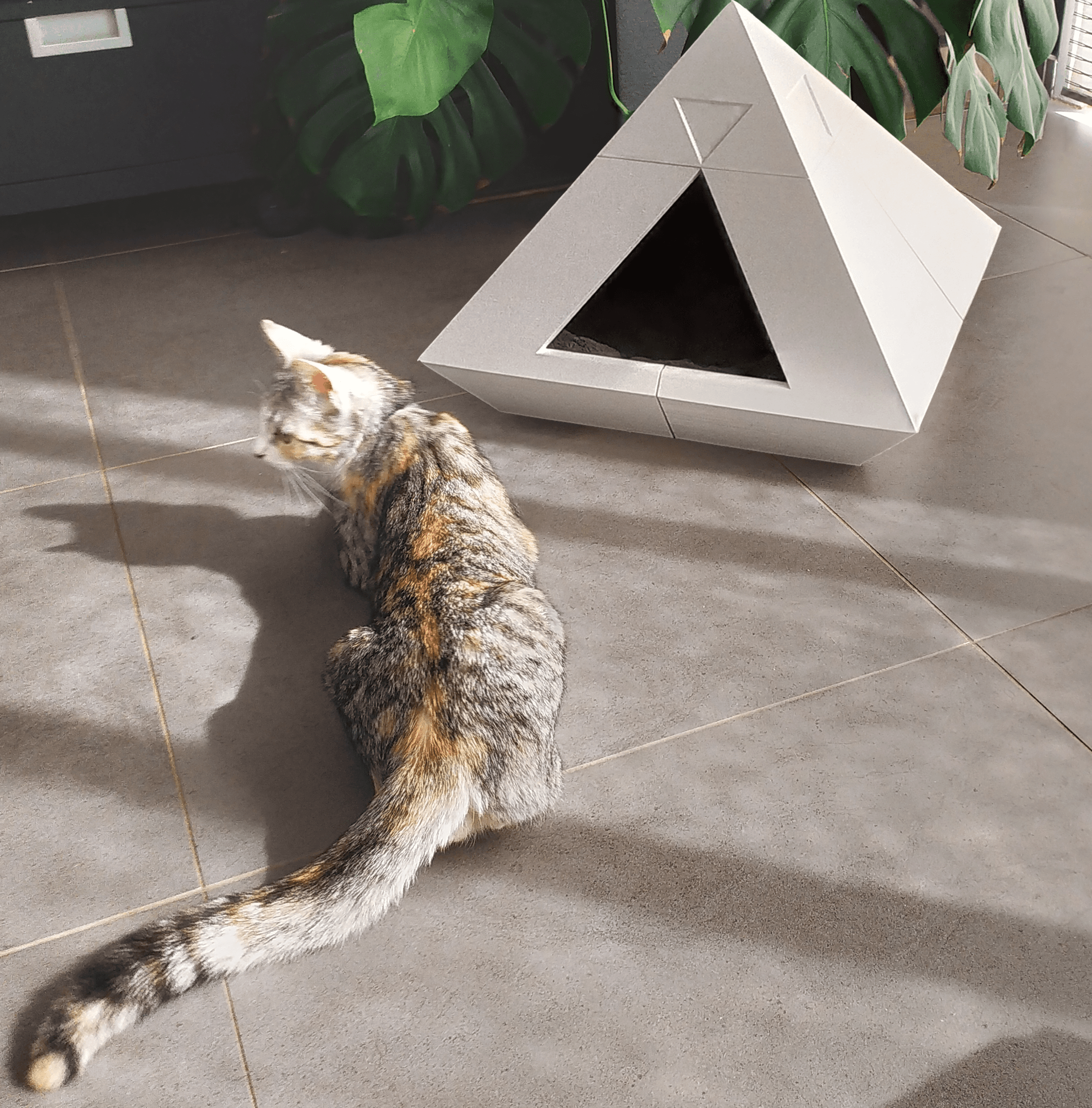 PYRAMID CAT HOUSE LOW POLY - Follow us: linktr.ee/catalpine 3d model