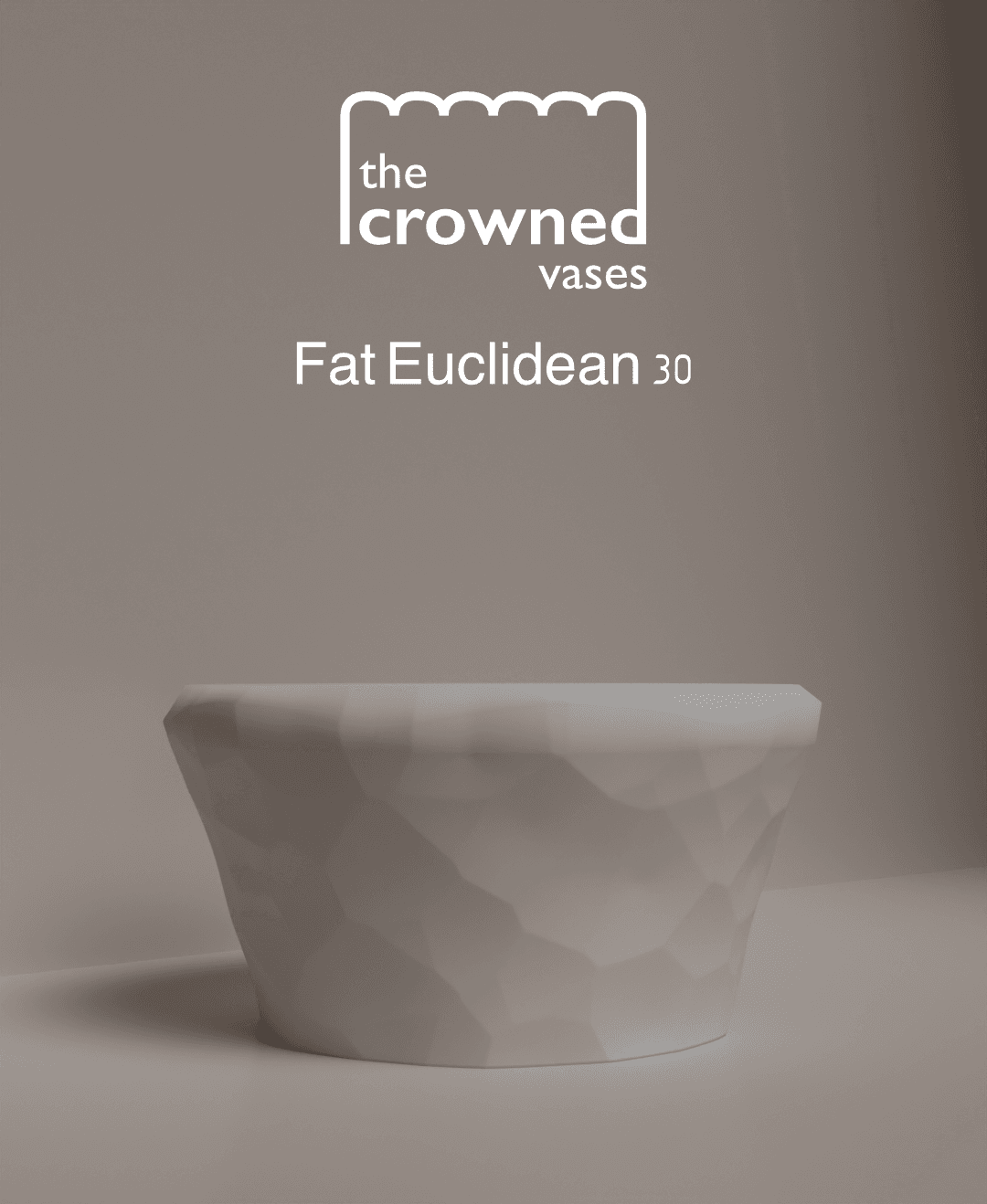 The Crowned Vases - Fat Euclidean 30 3d model