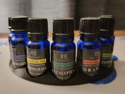 Essential Oil Holder for 10mL bottles 3d model