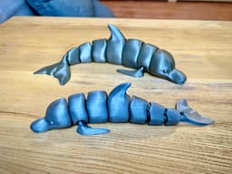 Clipper - Articulated Dolphin 3d model