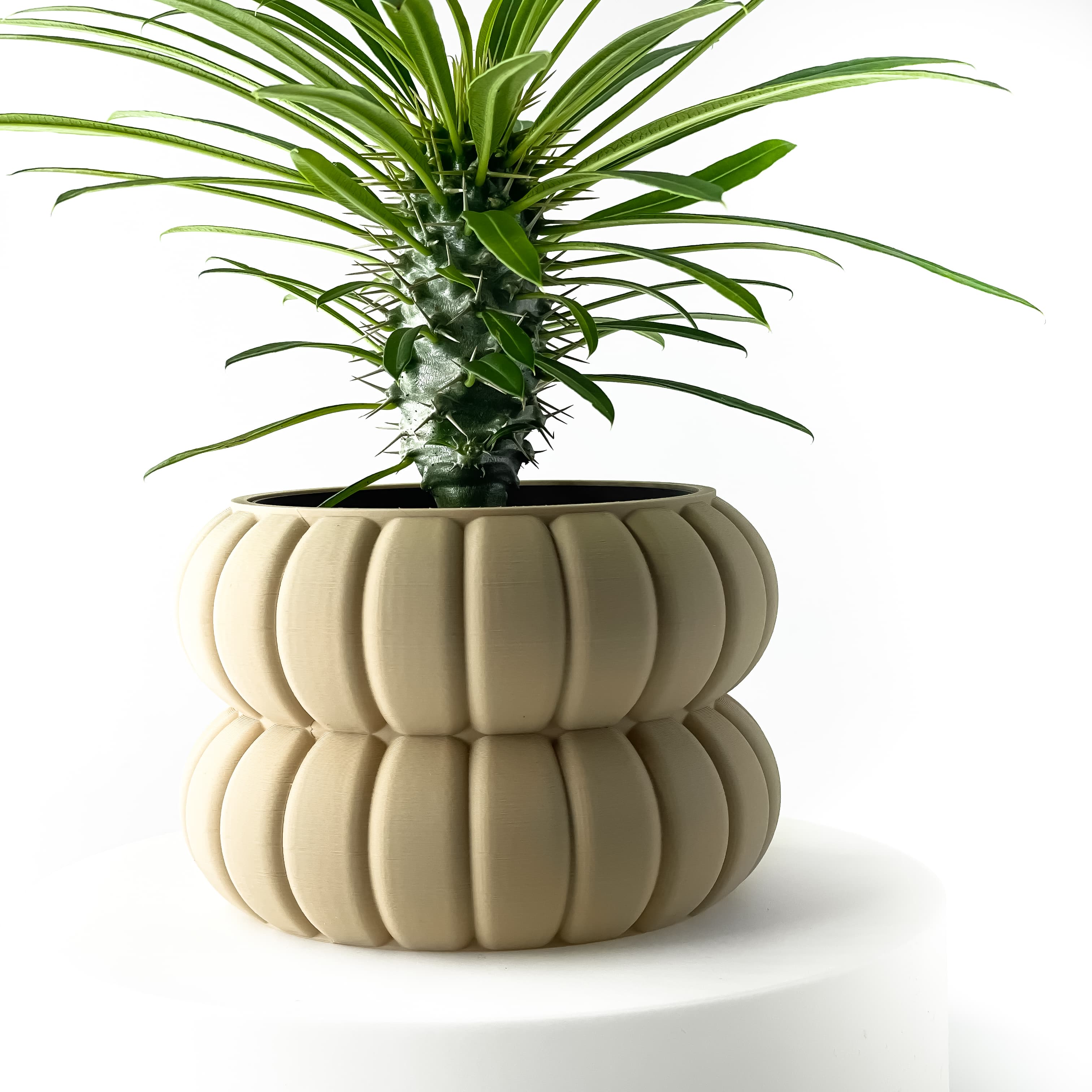 The Yanor Planter Pot with Drainage: Tray & Stand Included | Modern and Unique Home Decor for Plants 3d model