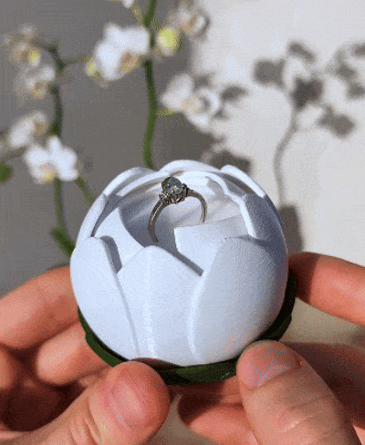 Blooming Flower Ring Box 3d model