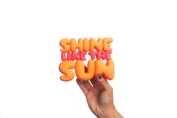 Shine Like the Sun 3d model