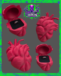 Anatomical Heart Ring/Jewellery Box 3d model