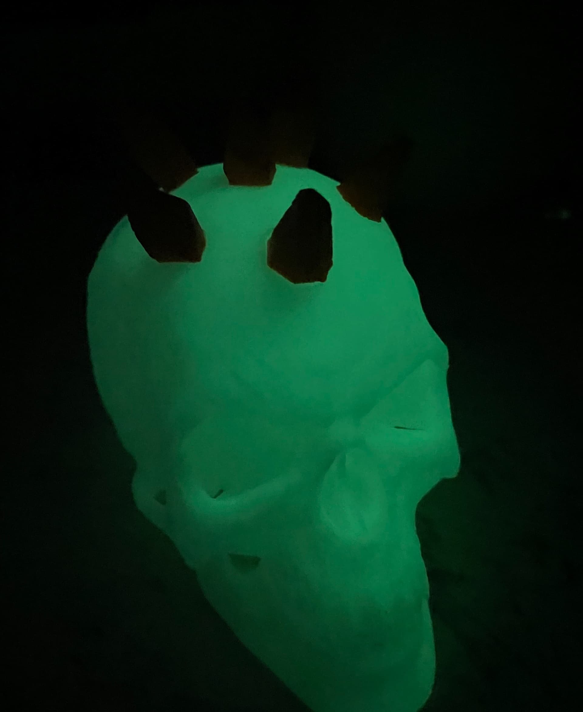Great glow in the dark look! Printed really well. Don't reduce the size too much or the hinge in the jaw won't necessarily print correctly. Used 10% infill.