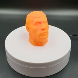 Hairify The Rock Dwayne Johnson 3d model