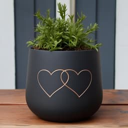 Modern Design Planter "DualHearts" 3d model