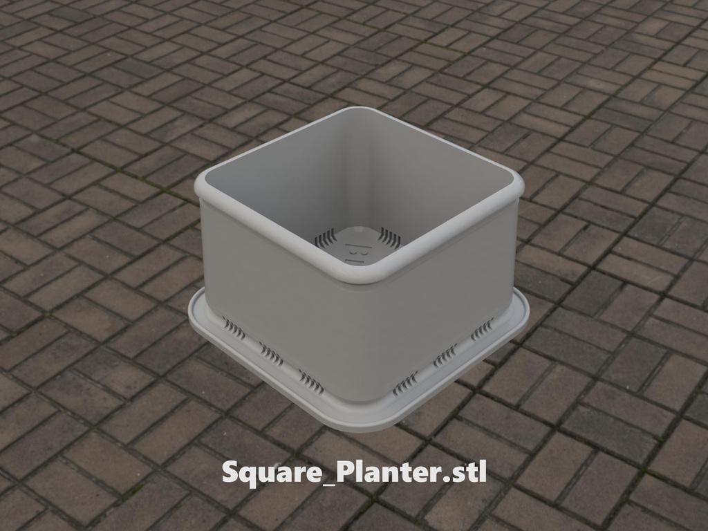 Square Succulent Planter 3d model