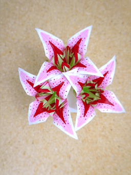 Origami Lilies with Vase.3mf 3d model
