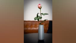 Flower Vase "Upright" 3d model