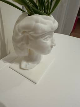 VISO VASO 3d model
