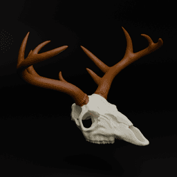 Deer Skull (MysticMesh3D) 3d model