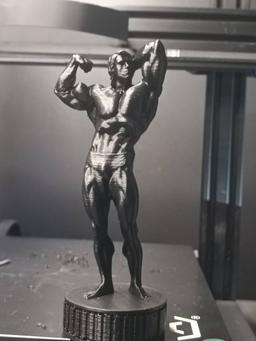 Arnold Schwarzenegger Podest Statue - no changes were made , just did the way it comes , all great 