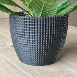 Planter 3d model