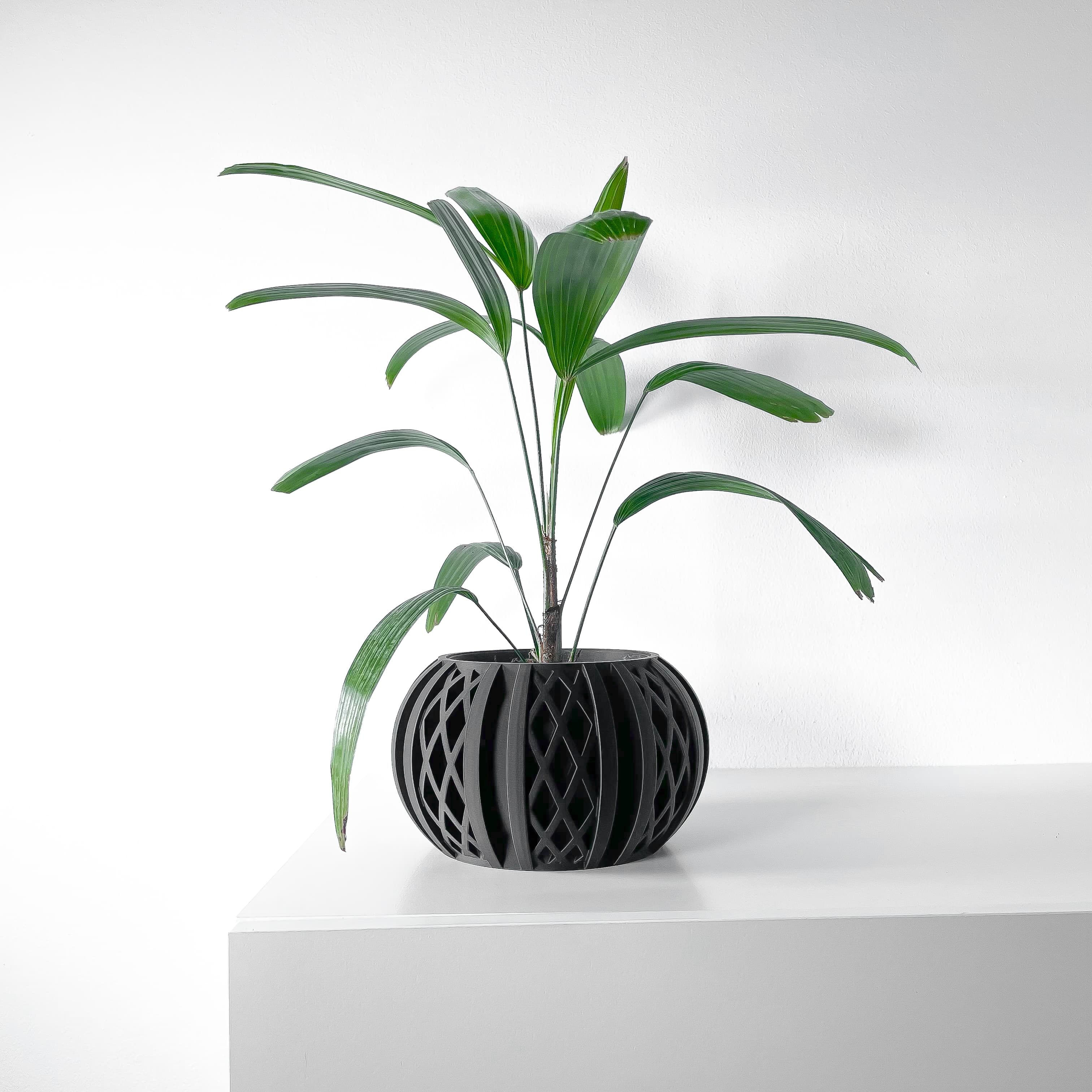 The Quivon Planter Pot with Drainage Tray & Stand Included | Modern and Unique Home Decor 3d model