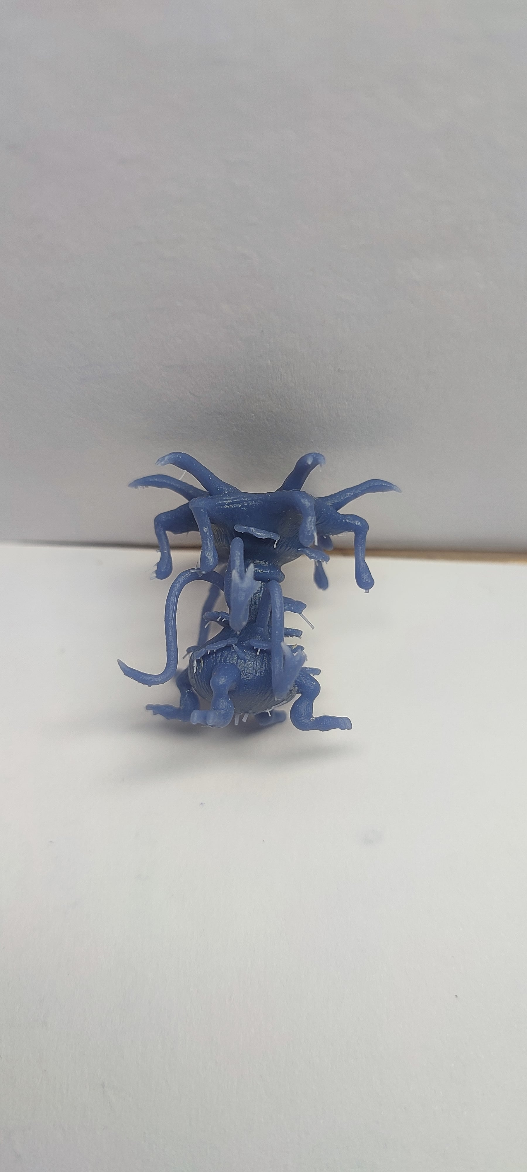 Basidirond 3d model