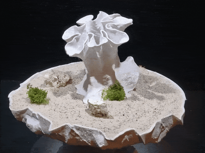 Aquarium & Terrarium Coral Reef Decor | Fish Tank Cave & Natural Fish Hide | Reptile Habitat Decor 3d model