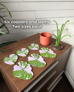 Elephant Ear Plant Coaster and Bottle Opener Set 3d model