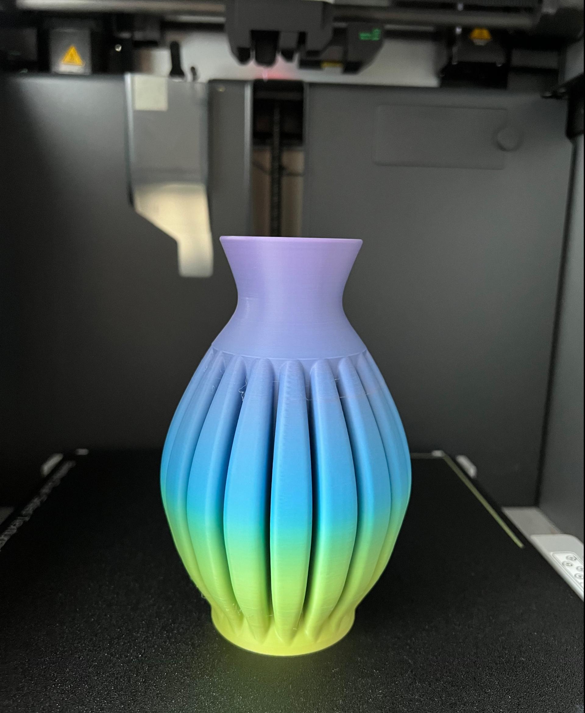 Vase 6.3.3.stl - Check out this beautiful vase! 
Filament Geeetech rainbow - 3d model