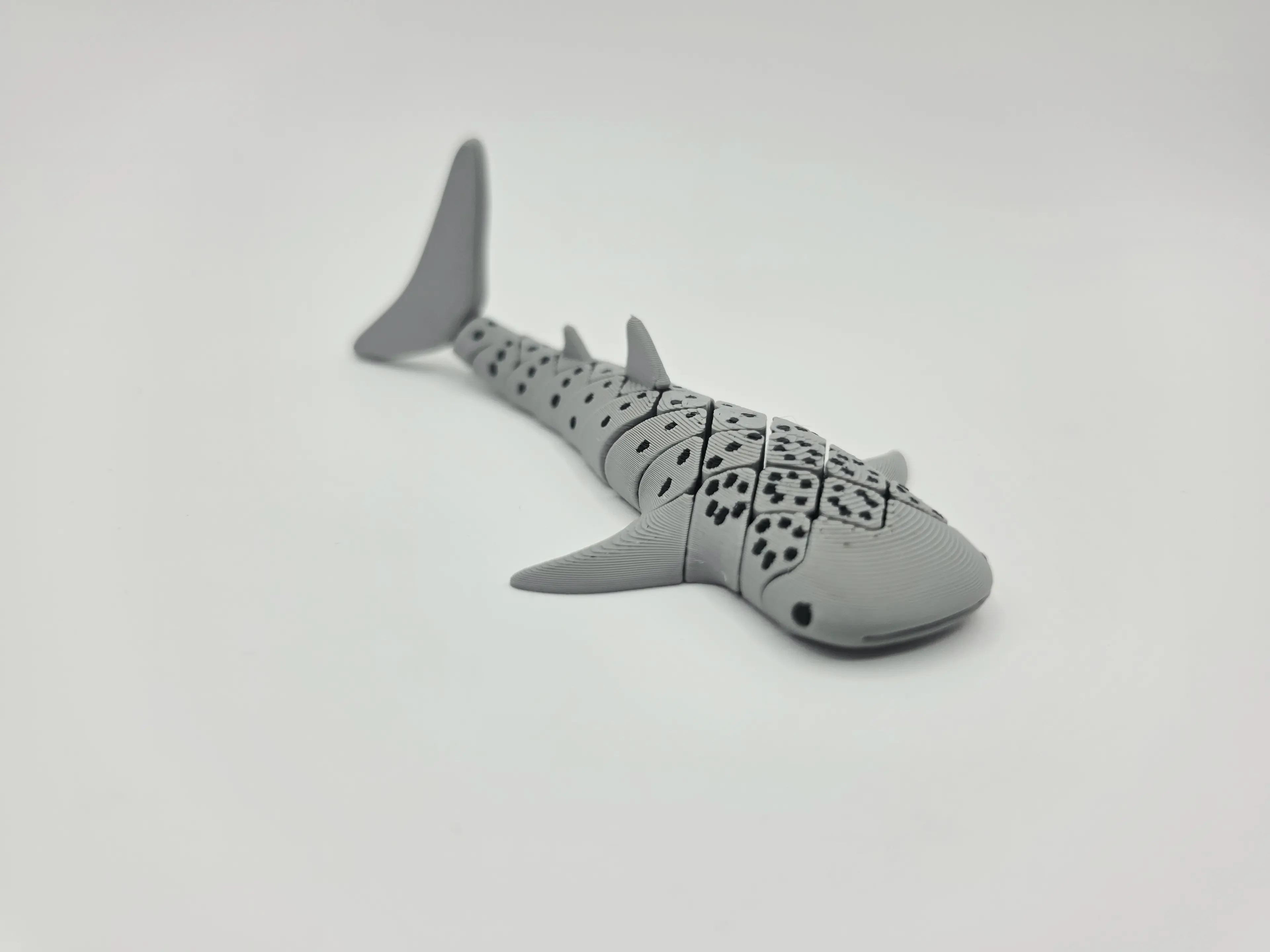 FLEXI WHALE SHARK 3d model